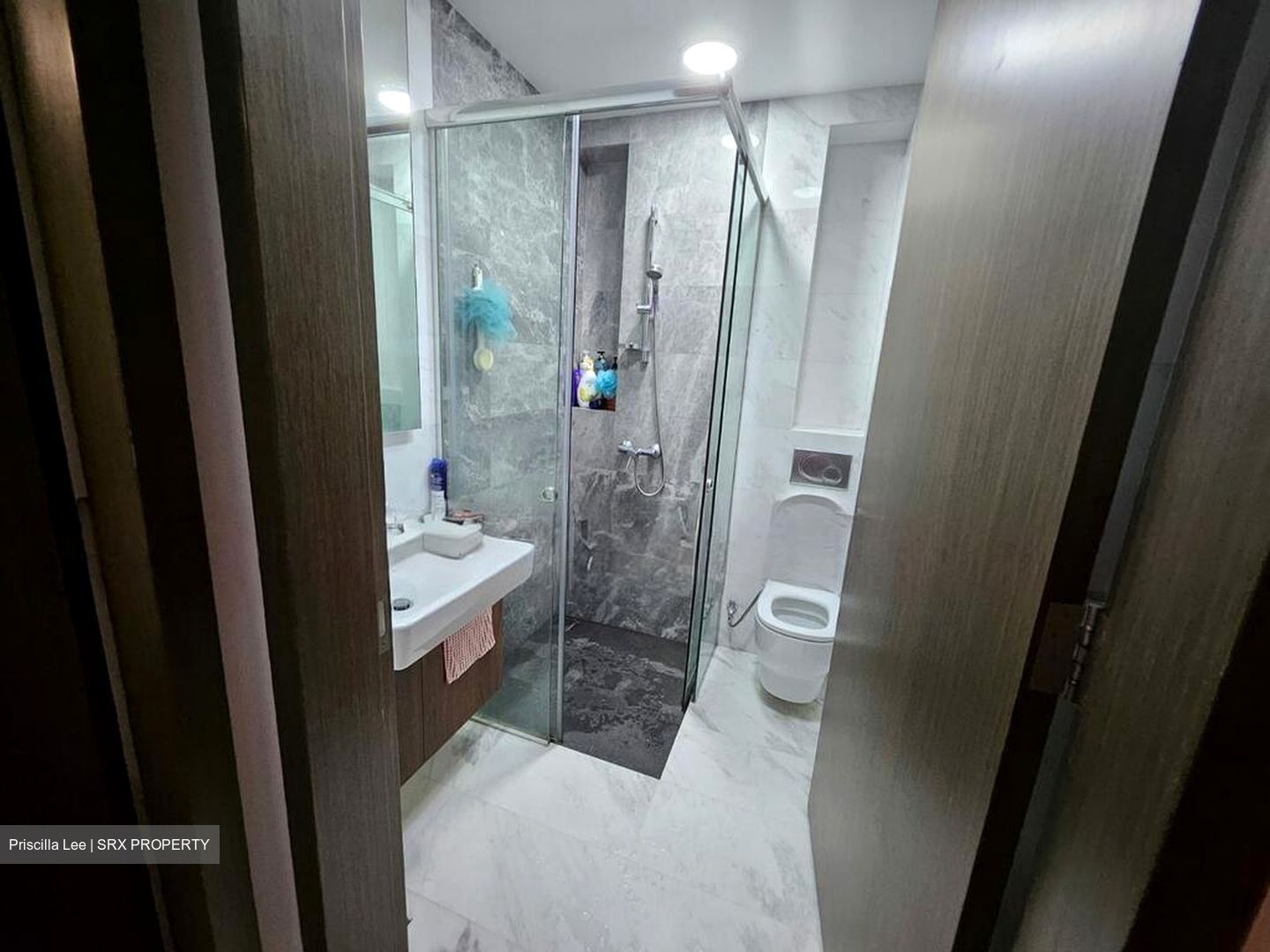 Spottiswoode 18 (D2), Apartment #497790861